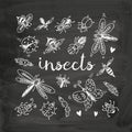 Insects doodle set