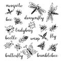 Insects doodle set