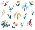 Insects and flowers collection. Butterflies, dragonflies, beetles and flowers. Bundle of decorative design elements. Spring time. Royalty Free Stock Photo