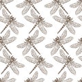 Insects that fly and creep monochrome sepia sketches seamless pattern.