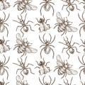 Insects that fly and creep monochrome sepia sketches seamless pattern.