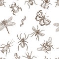 Insects that fly and creep monochrome sepia sketches seamless pattern.