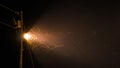 Insects flying in front of street light, night scene in Margaret River, Western Australia