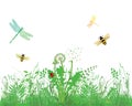Insects flying over meadow Royalty Free Stock Photo