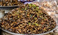 Insects food at Cambodia Royalty Free Stock Photo