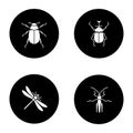 Insects glyph icons set