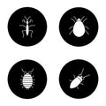 Insects glyph icons set