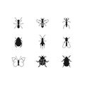 Insects glyph icons set. Spider, mantis, cockroach, woodlice, housefly, ladybug, mite, moth. Silhouette symbols. Vector isolated i