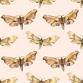 Insects Hawk moth Mimas tiliae and Smerinthus ocellatus. Seamless watercolor pattern. Royalty Free Stock Photo