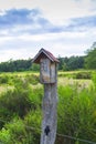 Insects Hotel in the nature reserve Sanddunes, Sandweier Ã¢â¬â Baden-Baden