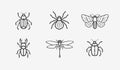 Insects icon set. Animals in linear style, vector illustration