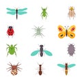 Insects icons flat set isolated vector illustration Royalty Free Stock Photo