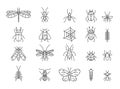 Insects icons. Line ant and mosquito, butterfly and different bugs. Animals with web, beetle, bees and pests