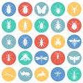 Insects icons set on color circles white background for graphic and web design, Modern simple vector sign. Internet concept. Royalty Free Stock Photo