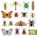 Insects Icons Set Royalty Free Stock Photo