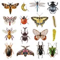 Insects Icons Set Royalty Free Stock Photo