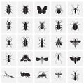 Insects icons set on squares background for graphic and web design, Modern simple vector sign. Internet concept. Trendy symbol for Royalty Free Stock Photo