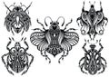 Insects illustration.Bugs collection