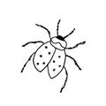 Ladybug.Vector illustration of an insect. A Doodle style sketch . Isolated object on a white background. Royalty Free Stock Photo