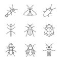 Insects linear icons set