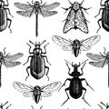 Vector background with high detailed insects illustrations. Hand drawn butterflies, beetles, cicada, bumblebee and dragonfly sketc