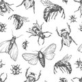 Insects Pattern.