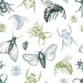 Insects Pattern. Royalty Free Stock Photo