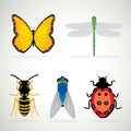 Insects realistic colored decorative icons