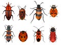 Insects red collection Royalty Free Stock Photo