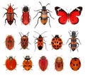 Insects red collection Royalty Free Stock Photo