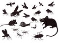 Insects and rodents Royalty Free Stock Photo