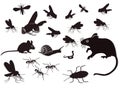 Insects and rodents