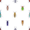 Insects, seamless nature pattern. Beetles and bugs, endless fauna background design for textile, fabric. Repeating print Royalty Free Stock Photo