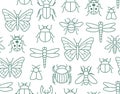 Insects seamless pattern with flat line icons. Background - butterfly, bug, dung beetle, scarab, bee, ladybug vector