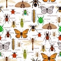 Insects Seamless Pattern Royalty Free Stock Photo