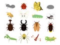 Insects set