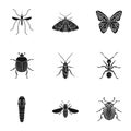 Insects set icons in black style. Big collection of insects vector symbol stock illustration Royalty Free Stock Photo