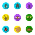 Insects set icons in flat style. Big collection of insects vector symbol stock illustration Royalty Free Stock Photo
