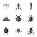 Insects set icons in monochrome style. Big collection of insects vector symbol Royalty Free Stock Photo