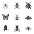 Insects set icons in monochrome style. Big collection of insects vector symbol stock illustration Royalty Free Stock Photo