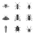 Insects set icons in monochrome style. Big collection of insects vector symbol stock illustration Royalty Free Stock Photo