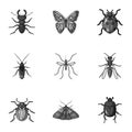 Insects set icons in monochrome style. Big collection of insects vector symbol stock illustration Royalty Free Stock Photo