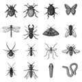 Insects set icons in monochrome style. Big collection of insects vector symbol stock illustration Royalty Free Stock Photo