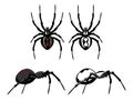Insects set. Spider danger venom horror poisonous black symbols set. Spider top view, side view.