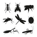 Insects silhouette vector set Royalty Free Stock Photo