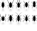 Insects silhouettes set