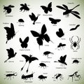 Insects silhouettes Royalty Free Stock Photo