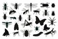 Insects silhouettes set