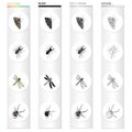 Insects, useful, harmful, and other web icon in cartoon style.Nature, ecology, view, icons in set collection.