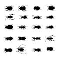 Insects various silhouettes vector